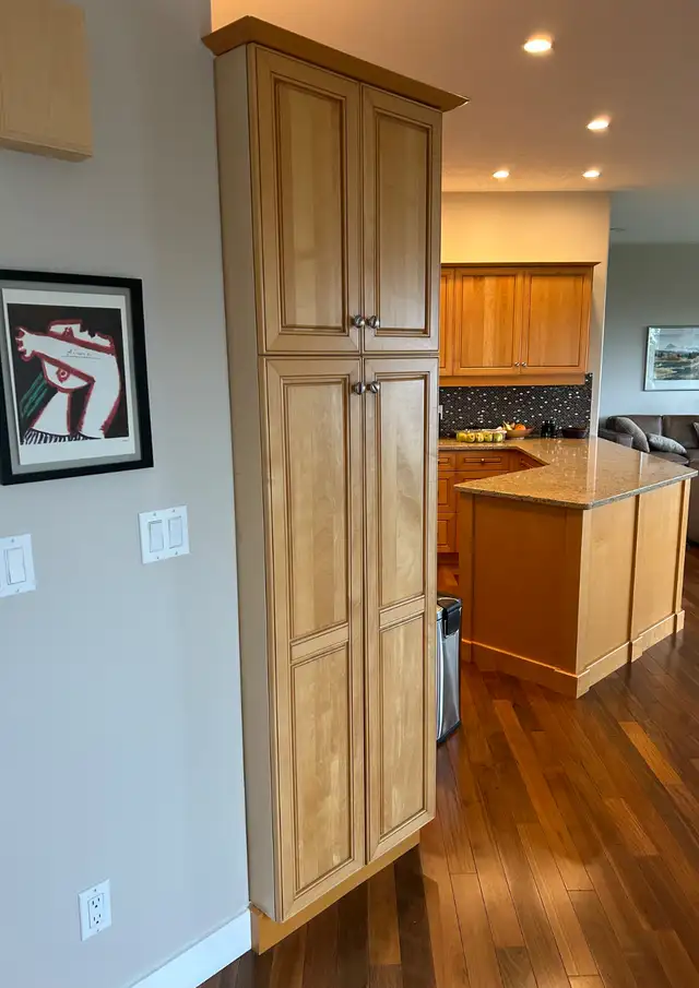 Kitchen cabinets and counter top64236049697409120