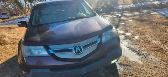 2007 MDX SH AWD589185657099397121