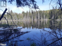 30 Acres with Trails , Pond and Cabin