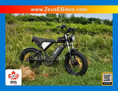 RIDSTAR Q20 1500W: Liberté sur 2 roues! ZeusEbikes.com, View more