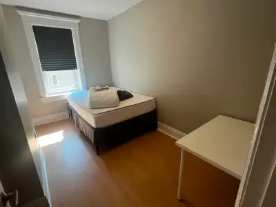 Looking for a roommate @Downtown Toronto
