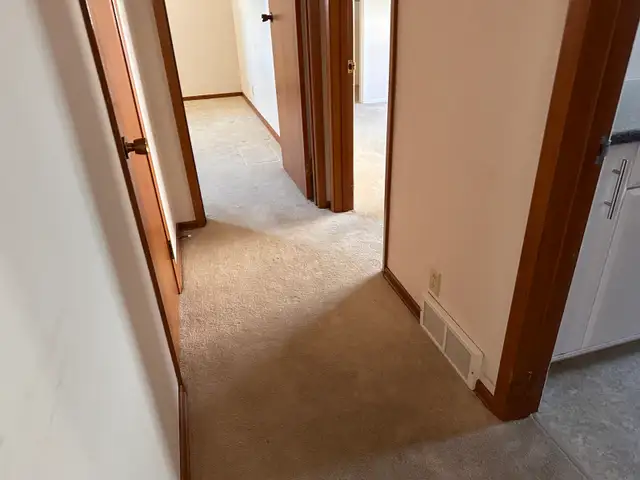 Floor Installation/Repairs559277763588280324