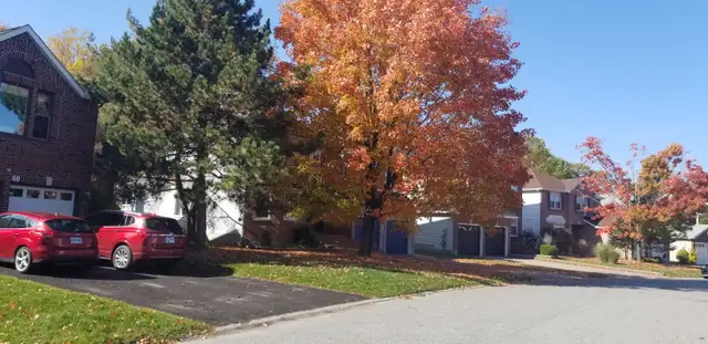 House for Rent, Kanata, Ottawa, Maison à louer, Rent Home, Avail