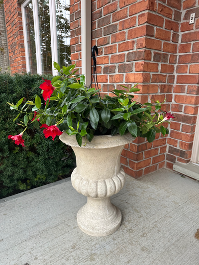 Urn Fibreglass, View more