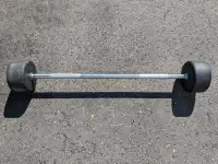 Element Fitness Barbell 120lbs