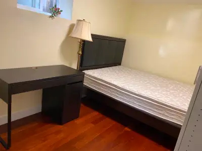 single room for rent