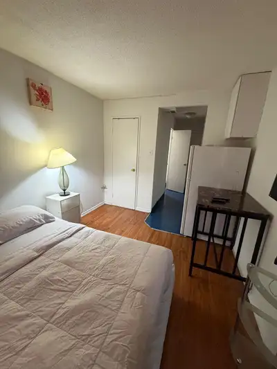 Fully furnished and private bachelor apartments in the heart of downtown Toronto (near Eaton Shoppin...