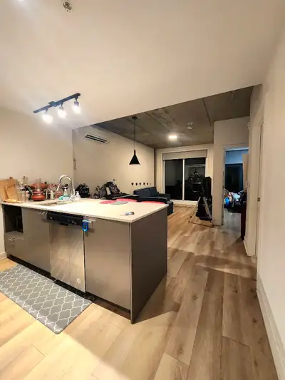 Spacious 1BHK condo for rent in Saint-Laurent, Montréal