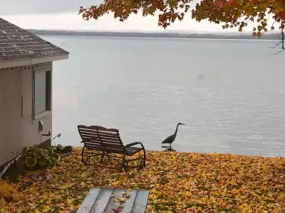 On Lake Simcoe in Orillia. 3 Bedroom, fully furnished. Converted boat house is a great bonus room to...