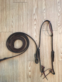 Headstall and Split Reins