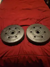Plate Weights  -   ( 2 × 10 lbs. )