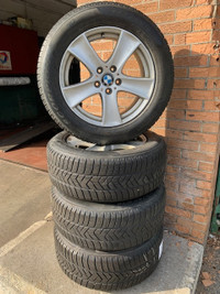OE BMW X5 18" Rims with 255/55R18 Pirelli Winter Tires
