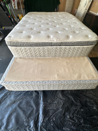 Premium Queen sized bed with cushion headboard.