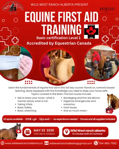 Equestrian first aid , View more