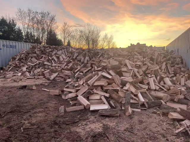 Firewood for Sale - Delivery $200 Oshawa, Whitby Ajax more in Other in Oshawa / Durham Region - Image 2