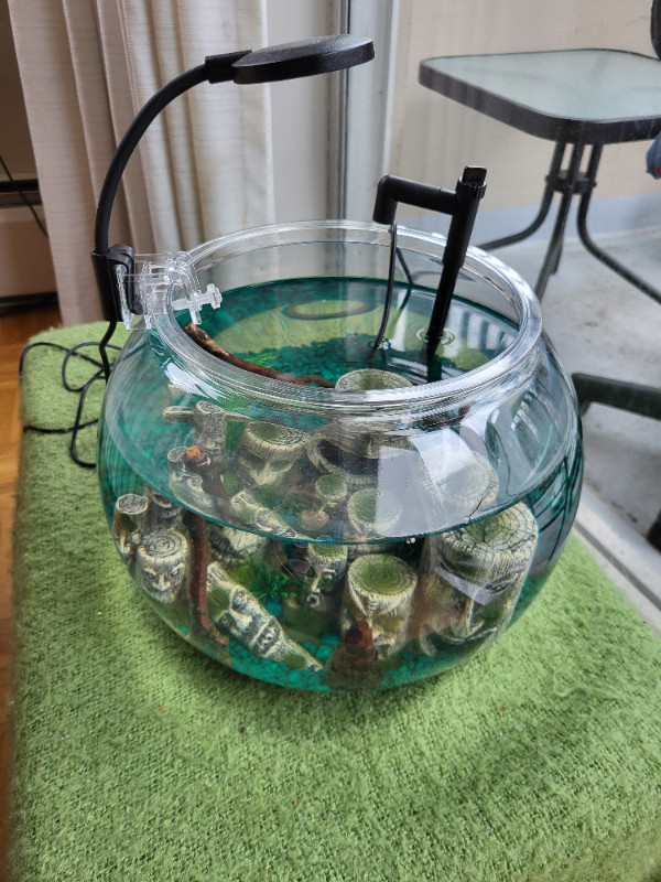 Fish Bowl for sale (Betta) in Other in Vancouver - Image 2