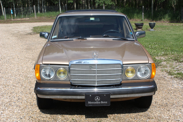 Beautiful 1984 Mercedes Benz Turbo Diesel in Cars & Trucks in Strathcona County - Image 2