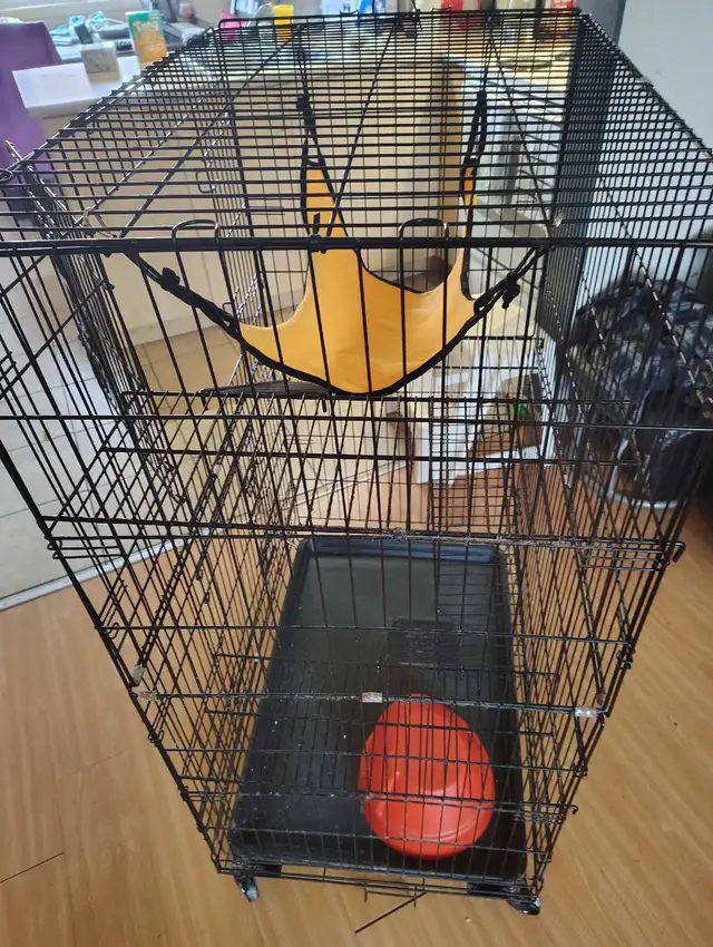 cage à rongeurs  in Other in Rimouski / Bas-St-Laurent - Image 4