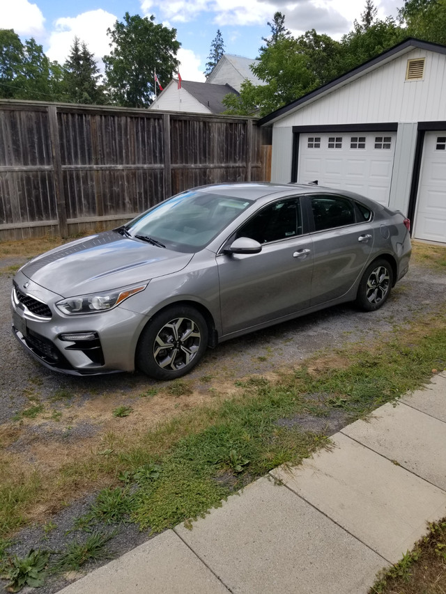 Great gas mileage in Cars & Trucks in Kingston - Image 2