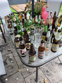 Assorted beer bottles including stubbies
