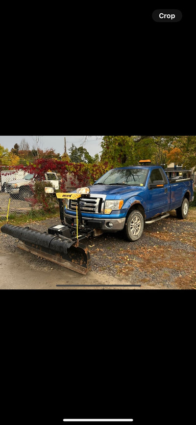 2011 f150