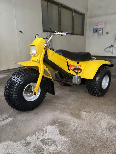 Excellent shape 1982 Yamaha YT125. No cracks, no rips. Runs great starts first pull very clean trike...