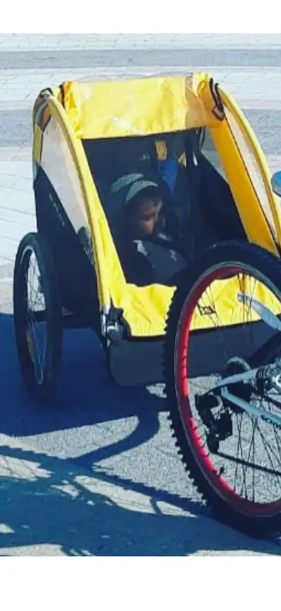 Burley two kid bike stroller ., View more