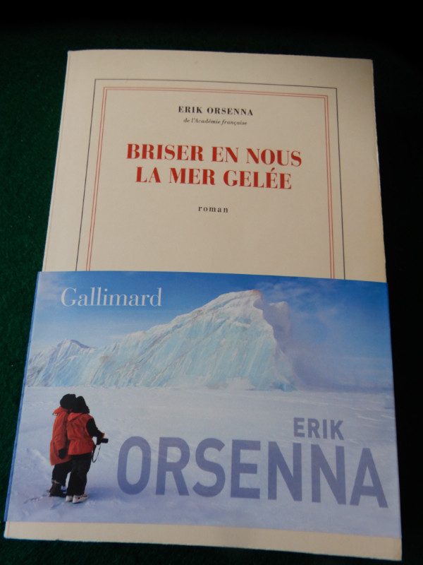 Deux (2) autres excellents romans d'Érik Orsenna dans Manuels  à Sherbrooke