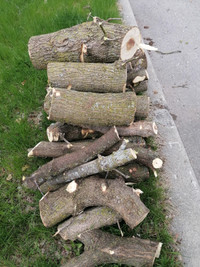 Free firewood very nicely cut maple wood. See pics.