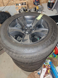 Rims and tires (new)