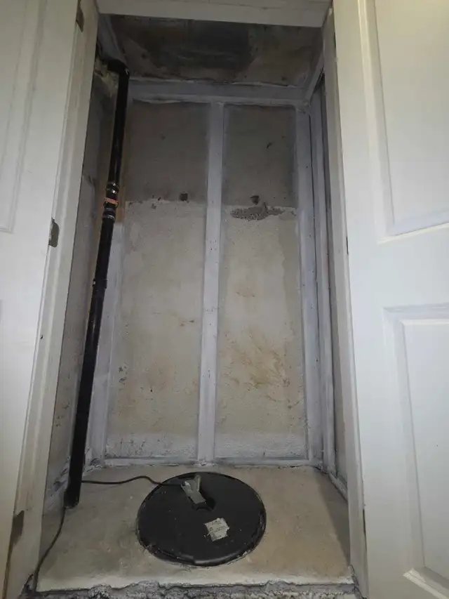 VISIBLE MOLD? DON'T WAIT – IT'S GROWING RIGHT NOW!522604453131069443