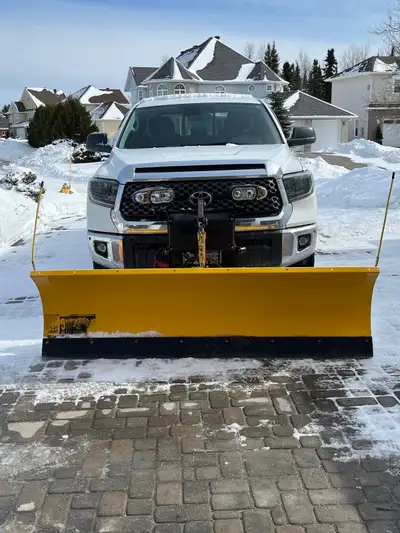 Meyers Snow Plow