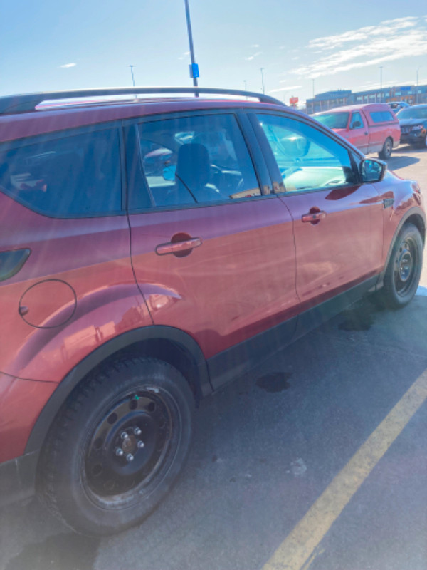 2019 Ford Escape Titanium in Cars & Trucks in Edmonton - Image 4
