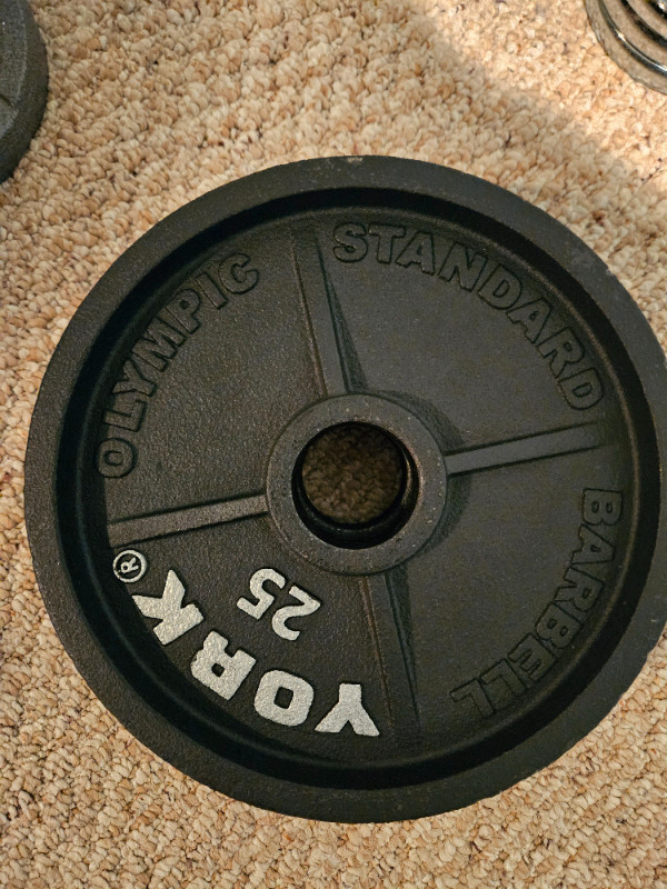 Olympic Weight Plates in Exercise Equipment in Cambridge - Image 4