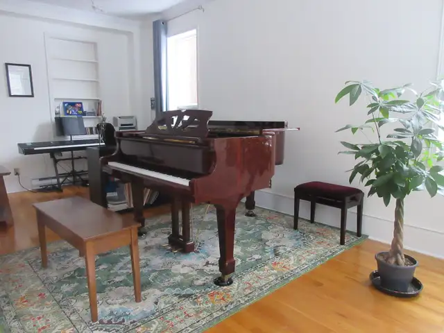 Lessons in Piano, Theory and Composition63417618312067121