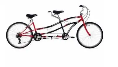Tandem Bicycle (for two), View more