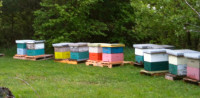 Full Double Hives for sale