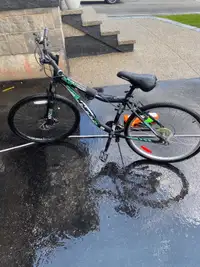 Buddy mountian bike