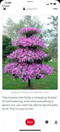 Petunia Tree Stand 