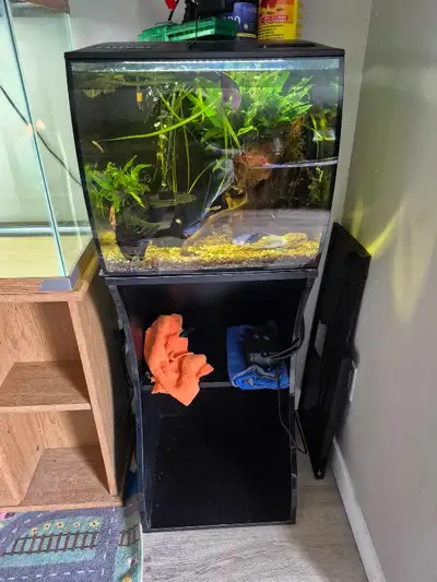 15 gallon fluval aquarium with working light, lid, filter and more Fish include Various dwarf plecos...