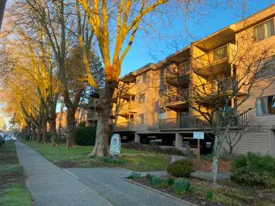 Well Maintained building on a quiet Street Large living/dining- laminate flooring 2 Spacious Bedroom...