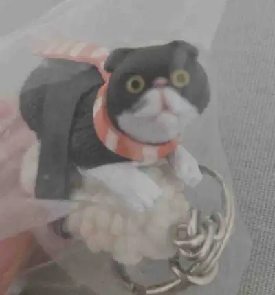 sushi cat keychain, View more