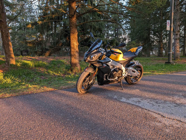 2012 Aprilia Tuono V4 in Sport Touring in Markham / York Region - Image 3