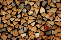 Maple firewood