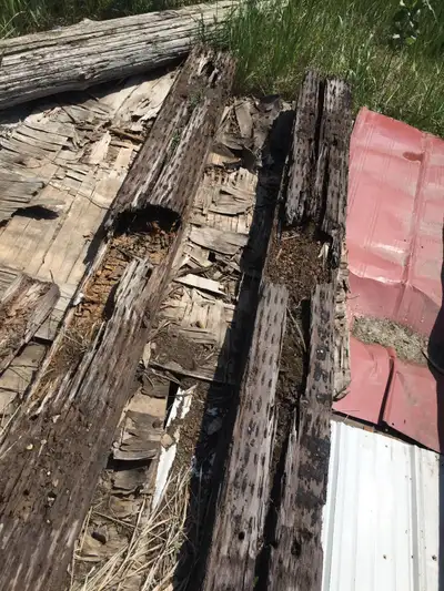 FREE railroad ties. pickup St Albert.  I deliver for extra $, View more