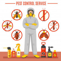 Worried about pests? Fear no more! 