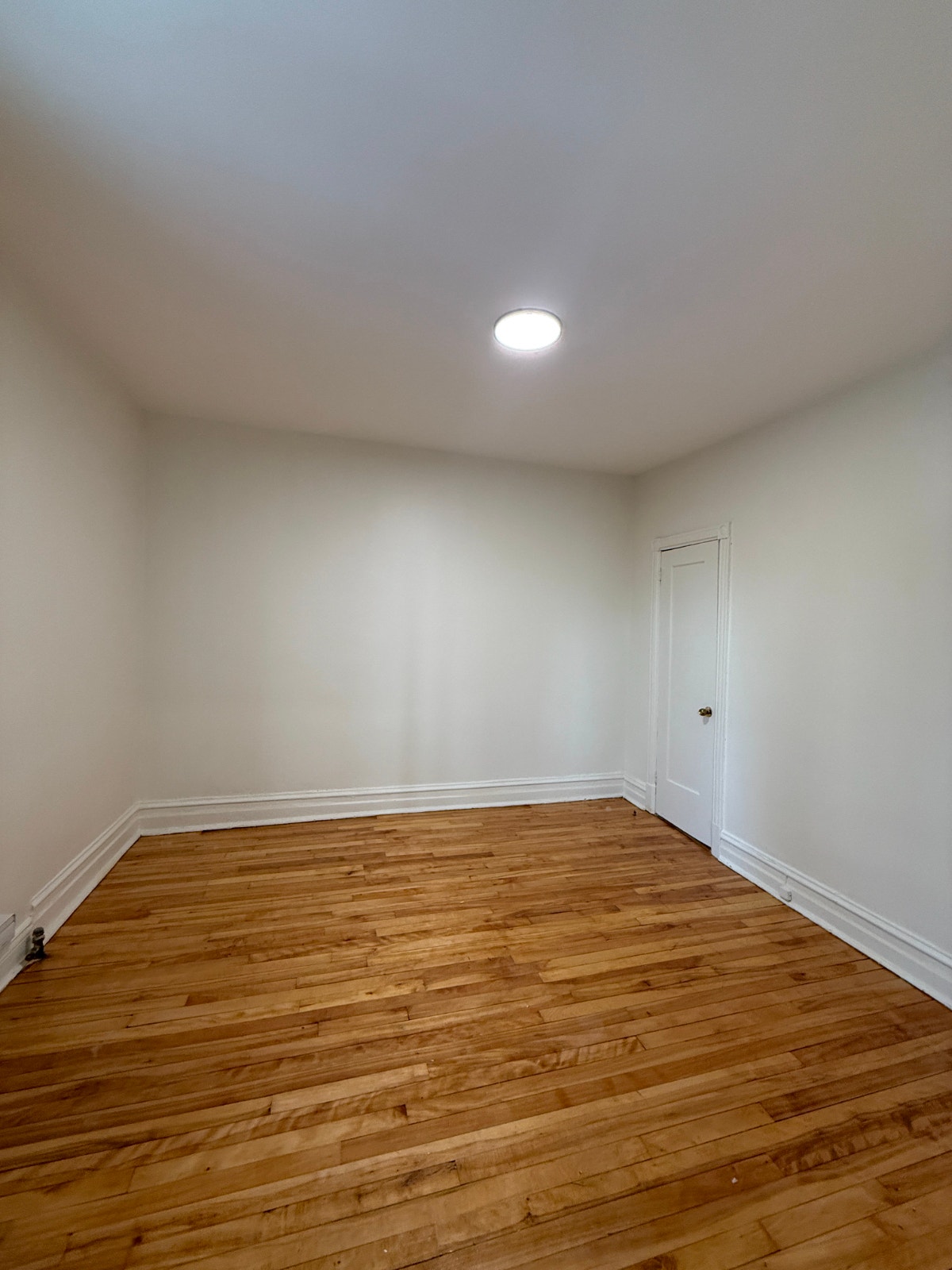 mile end, 3 bedroom, metro outremont, renovated, cats — photo 2