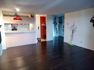 Rent Information: *************************** • $1,300 /month, firm. • Unfurnished. • Available Augu...