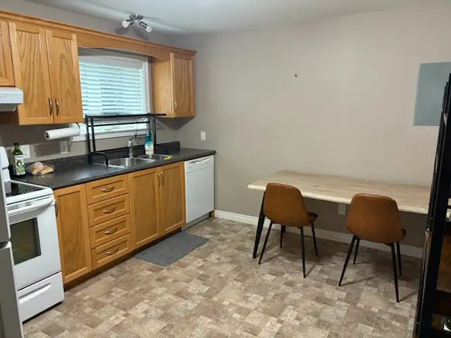 New & Clean Apartment with Separate driveway for 2 cars. in Long Term Rentals in St. John's - Image 4