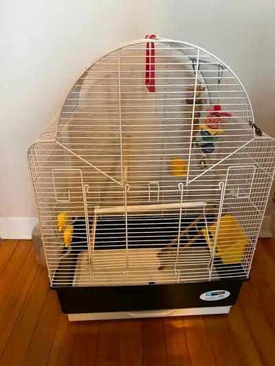 Cage à oiseaux + Cage de transport incluse – 60 $, View more